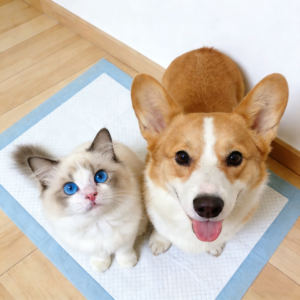 Pet Pad