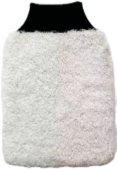 CAR WASH MITT